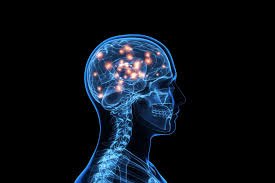 Your Brain on Learning: The Fastest Way to Master a New Skill for Your Resume