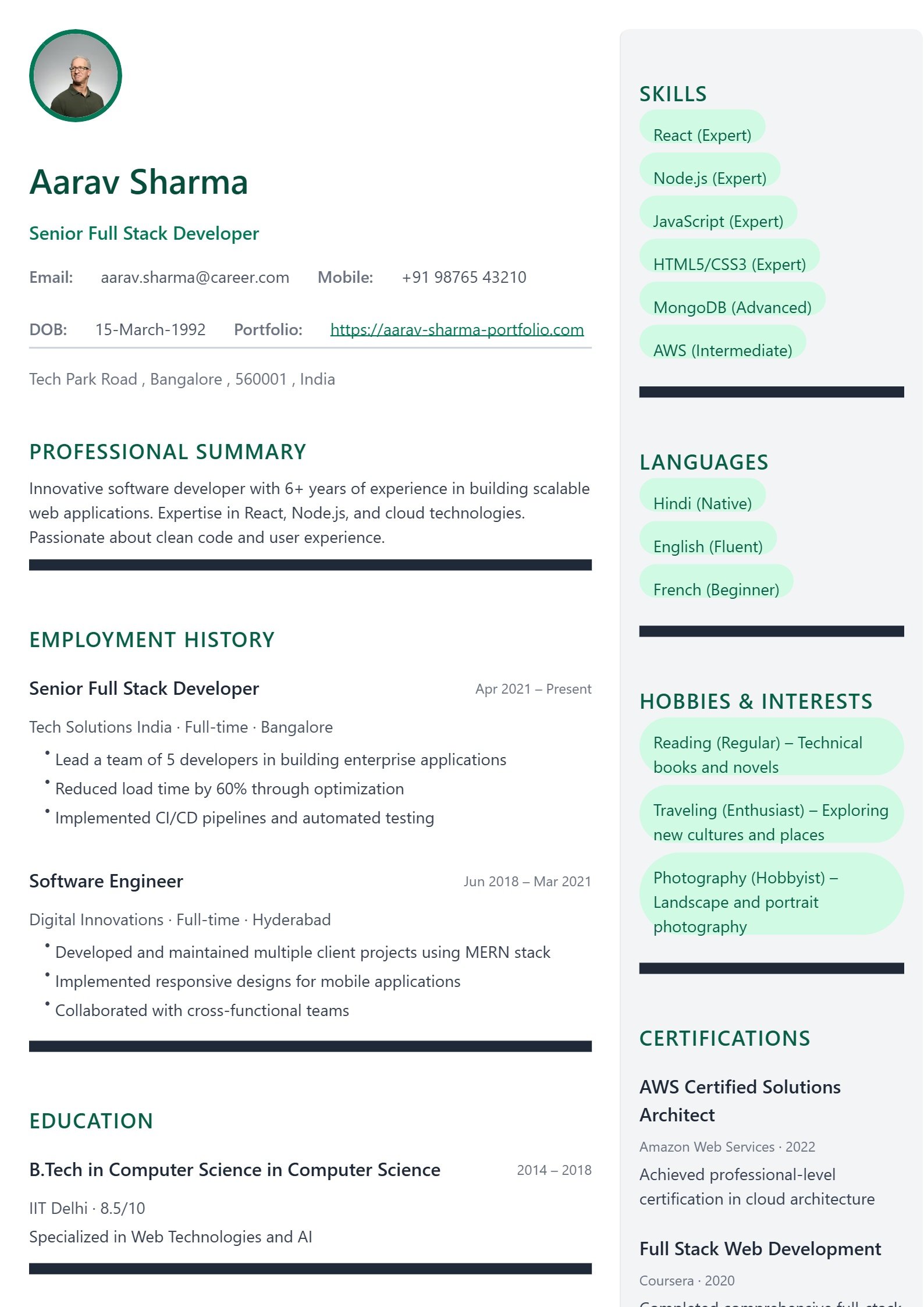 Professional Resume Template